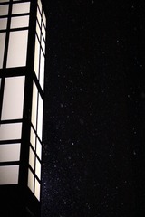 1000059802