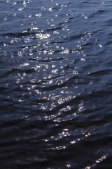 1000067154