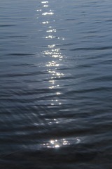 1000067026