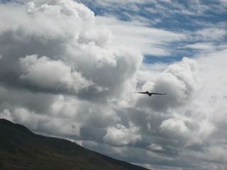 IMG_0132.JPG