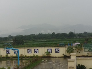 6D1292C2-A743-4D2C-A597-1D2162C839B4/L0/001