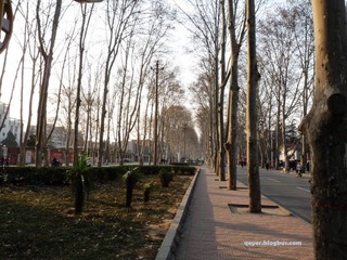 P1010531副本