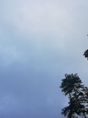 1354685