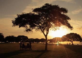 DPP_10116.JPG