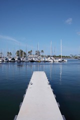 DPP_10121.JPG