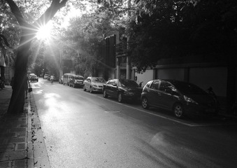 DPP_10198.JPG