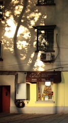 DPP_10199.JPG