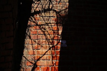IMG_5374-1
