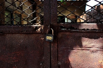 IMG_5379-1