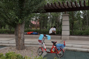 IMG_5537-1