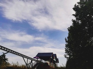 64262