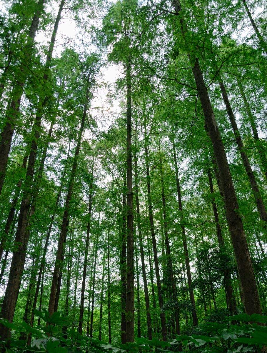 冰球突破一堂跨越十年的“双创课”：独角兽涌现新产业起势 创在广州·共赢未来⑩