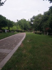 3362291