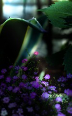 A6D5EA90-8751-4791-9634-4E8D0B4F3440/L0/001