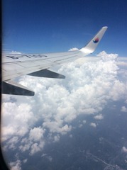 A3738ABF-DCF9-4CF5-A882-AE8CBDDDC4F1/L0/001
