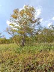 DSCN05801.jpg