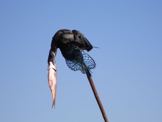 DSCN0920.JPG