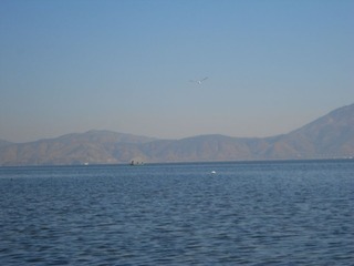 DSCN0901.JPG