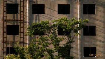 20036