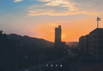 1619725