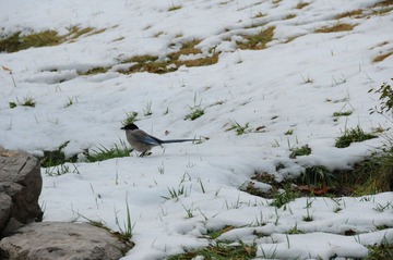DSC_8671.JPG