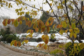 DSC_8684.JPG
