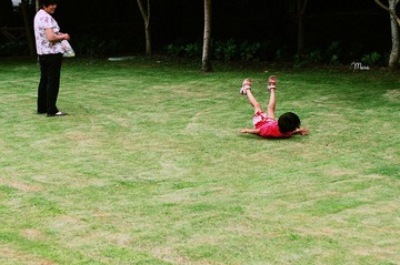 DSC_8379.jpg