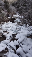 DSC03703.JPG