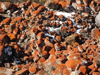 DSCN0356.JPG