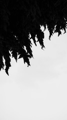 42C35230-1C03-4D5E-836D-5DFCD03EBB95/L0/001