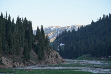 3CDDC341-8D69-4316-8409-740F0C9AA2CF/L0/001