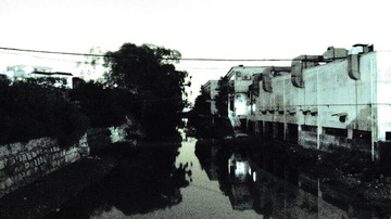 R0010392.JPG