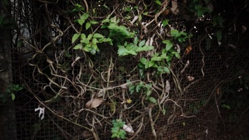 R0011158