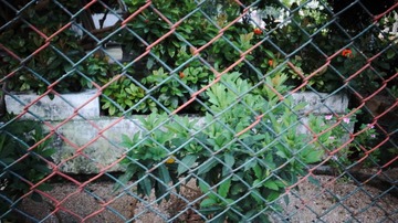 R0011238