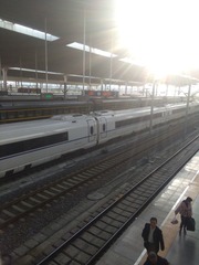 37303