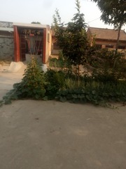 1556157