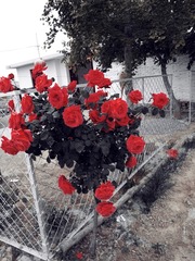 684734