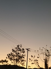 1000028967