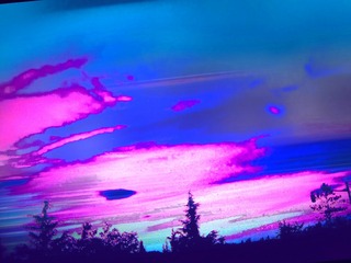 1071016