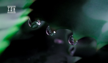 _DSC5210jj副本.jpg