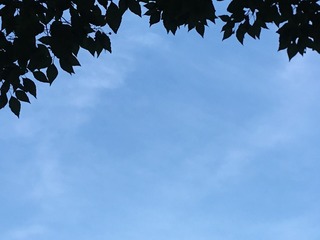 2C041FC8-9A81-4F2C-BD7B-DF821F184CBD/L0/001