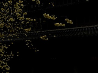 A7D007C1-CA2E-4795-8239-836F7A8D44A3/L0/001