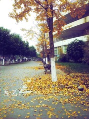 再见