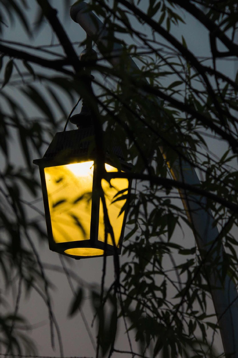 无论你身处的世界多么繁杂,总会有一盏灯,泛着温暖的光,指引