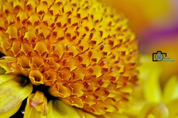 20120131-DSC_0389_副本.jpg