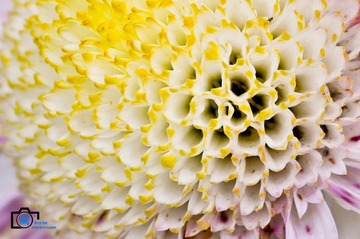 20120131-DSC_0384_副本.jpg