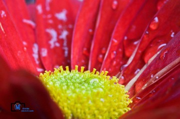 20120131-DSC_0387_副本.jpg
