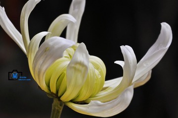 20120131-DSC_0388_副本.jpg