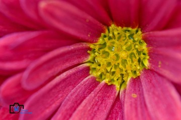 20120131-DSC_0395_副本.jpg