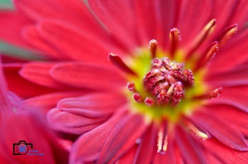20120131-DSC_0397_副本.jpg